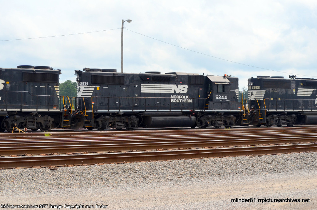 NS 5244